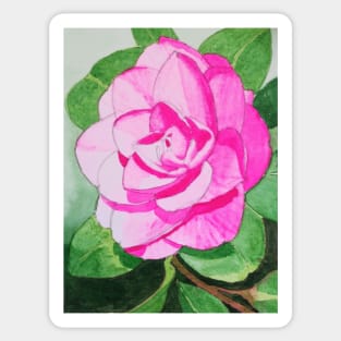 Single Pink camellia watercolour flower painting Sticker